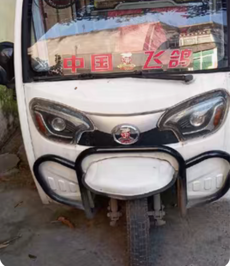 淘宝上买的飞鸽牌电动三轮车，平时用于接送孩...