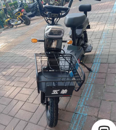 广州五羊电动车，实体店全新车，大电池，老品...