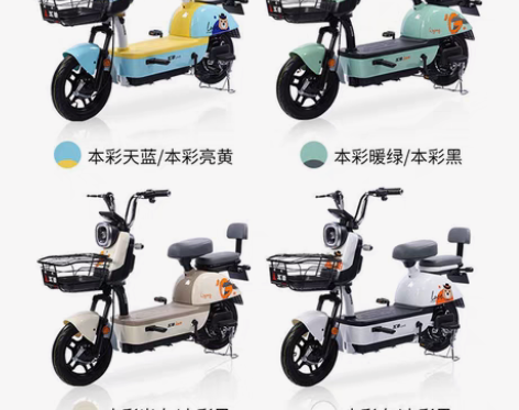 五羊全新电动车！蓝旗公主！最新款式！一线品...