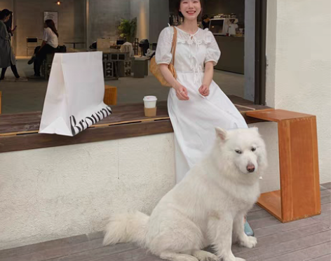 转卖吱呤连衣裙2021新款春夏女白色法式复...