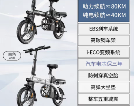 转卖德国尊尚折叠电动自行车锂电池便携代驾电...