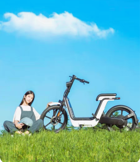 新大洲本田电瓶车（无印良品合作款） 全新出...