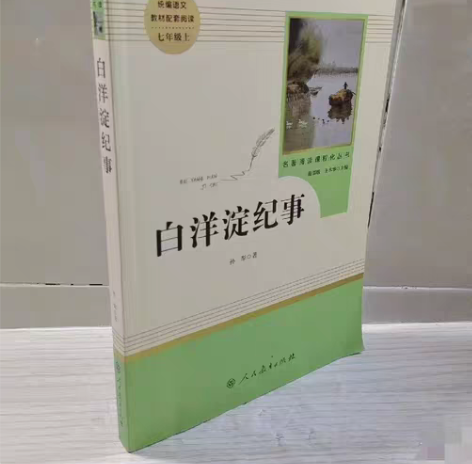 包邮白洋淀纪事 名著阅读课程化丛书七年级上...
