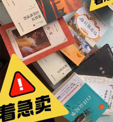 读物 全新 白洋淀纪事 钢铁是怎样炼成的 ...