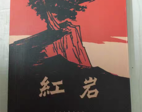 书名【红岩】 实体店买的 没看过几乎全新￥...