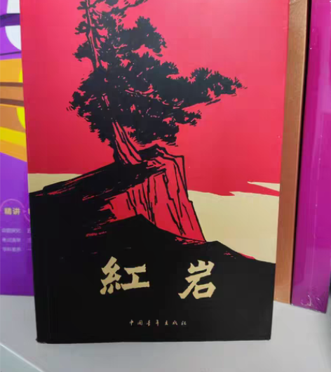 二手99新书籍 红岩￥10