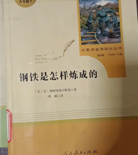 包邮钢铁是怎样炼成的，红楼梦等名著，钢铁是怎样炼成的一本30...