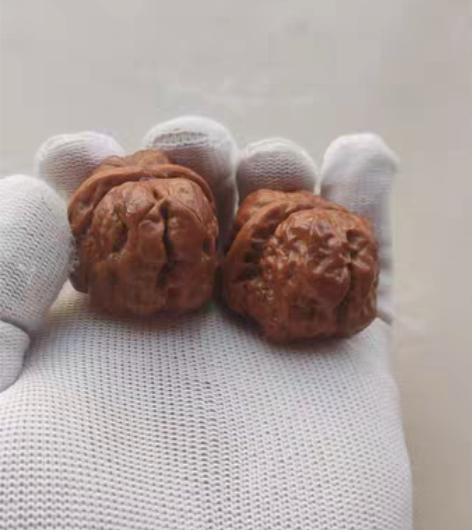 金蝉蛤蟆头 爆肉变态蛙 边35肚41高28...