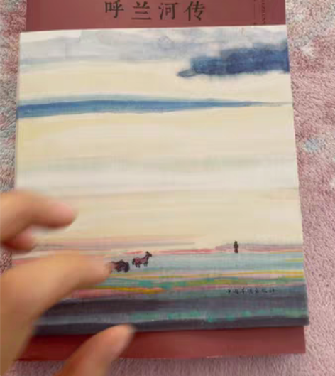 《呼兰河传》萧红.著   家里书太多了。买...