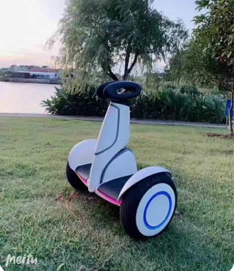 包邮小米九号平衡车Plus双轮智能遥控漂移...