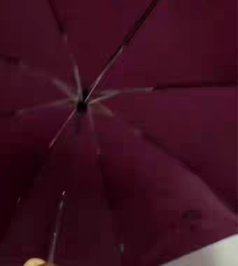 包邮全新正品天堂伞！家人自用这款伞两年没问...