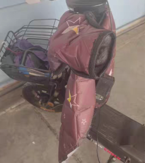 锡特网48V12A国标电动车，个人电动车，...