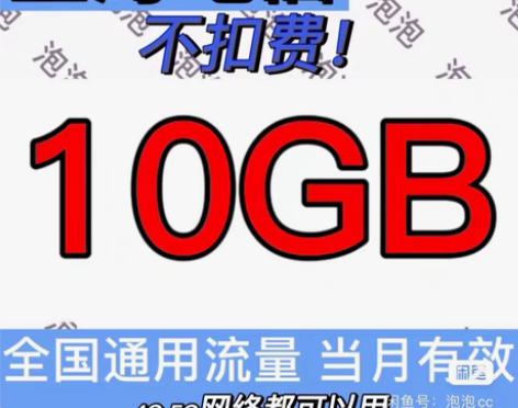 包邮上海电信 电信流量 310GB(不扣费...