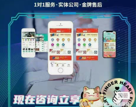 包邮软件开发公司接单APP小程序PC网站H...