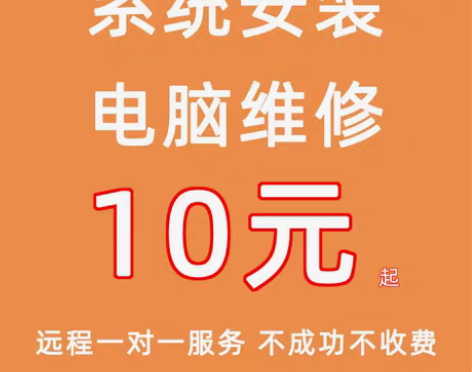 在线win系统重装服务windows10正...