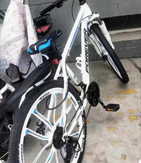 【全新清仓】上海永久牌山地自行车男女单车学...