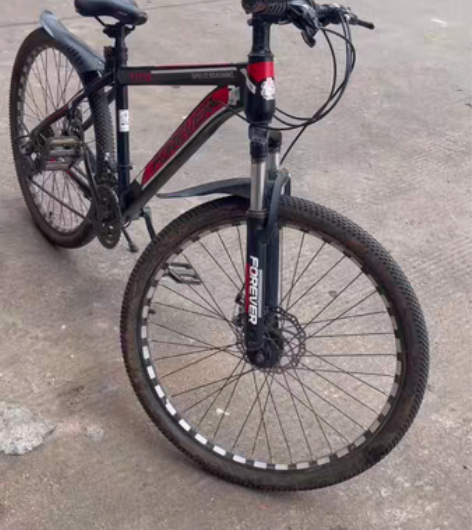 仅限自提，地点宁乡，一台永久自行车。左脚脚...
