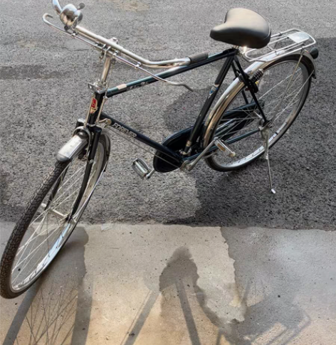 永久自行车26 9新不邮外地，自取，蓝色，...