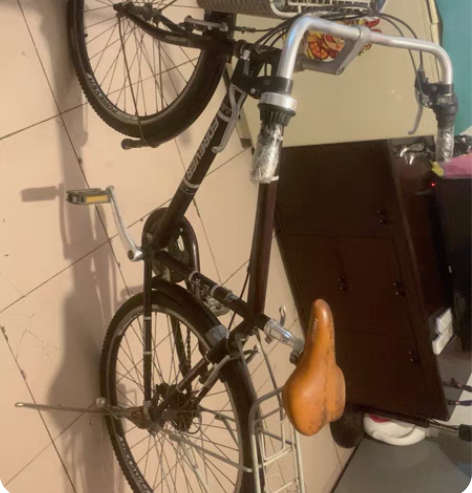 经典品牌永久自行车，收藏版，大弯把。 感兴...