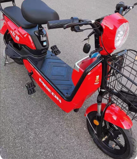 包邮实体发货全新飞鸽新国标电动车成人电动自...