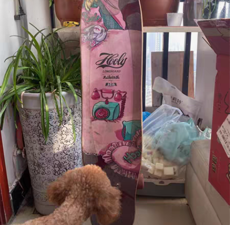 转卖Hooly长板Girl滑板专业板成年初...