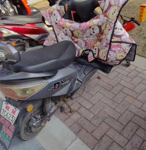 闲置一辆小龟电动车 非常好用 代步买菜 接...