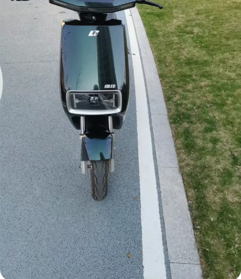 新国标，绿佳电动车，大黄牌，永久骑，锂电池...