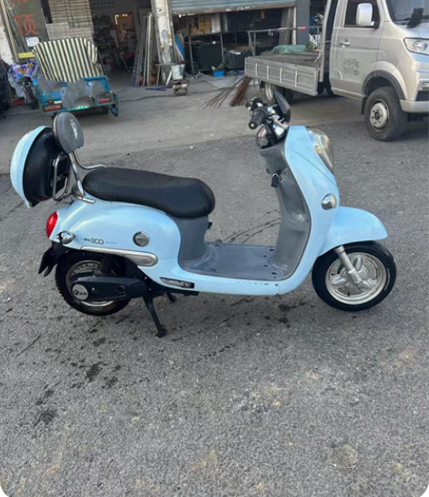 包邮99新新国标出售 9成新，续航50公里...