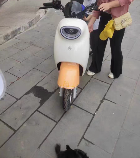 包邮国标电动车上上海蓝牌， 全新国标电动自...