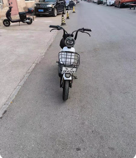 新日48伏20安锂电，半年2000公里 感...