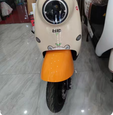 台铃新款电动车，5块大电池超长续航，600...