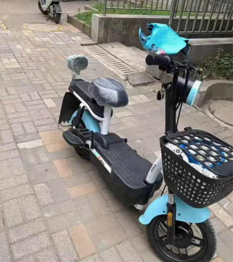 包邮爱玛电动车48V16A铅酸电池电动自行...