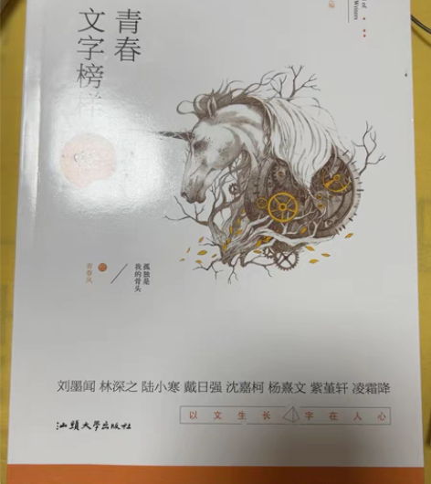 包邮《青春文字榜样》正版包邮，全新 感兴趣...