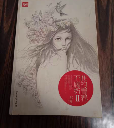 青春小说6元一本(闲置很久了,里面无笔记比...
