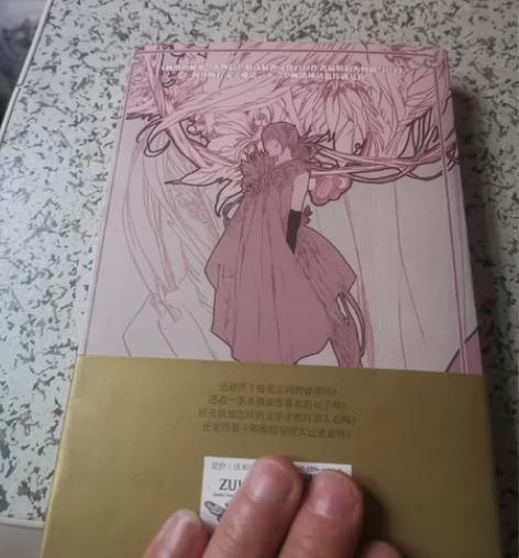 正版二手畅销的秘密人物篇  郭敬明 长江文...