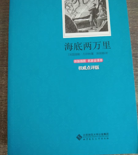 巴黎圣母院 鲁滨逊漂流记 海底两万里 因为...