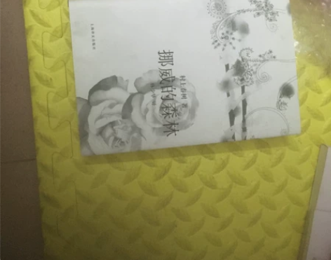 挪威的森 不包邮， 不要问不问就拍 感兴趣...