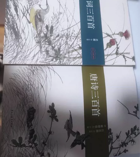 出《唐诗三百首》，《宋词三百首》，《诗经上...