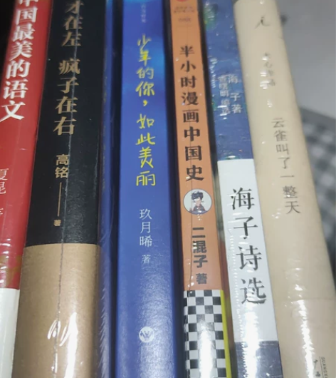 便宜卖  除了 撒野 少年的你没有塑封 其...