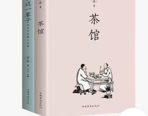 茶馆老舍我这一辈子老舍的书现当代经典小说散...