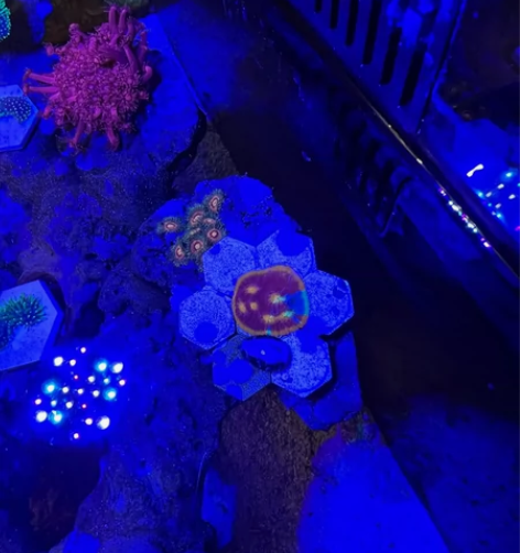 四色调色盘 感兴趣的话点“我想要”和我私聊...