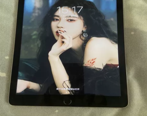 插卡银黑色iPad2021款iPad9内存...