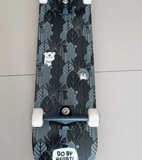 【DBH官方正品-北京代理】双翘滑板DBH...