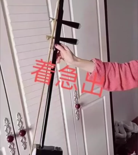 搬家转让原价2380元苏州二胡乐器演奏二胡...