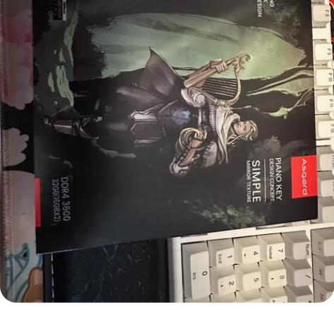 博拉琪 ddr4 特调bdie 3600 ...