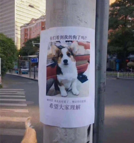 英语学习方法指导（幼儿园到研究生）均可以咨...