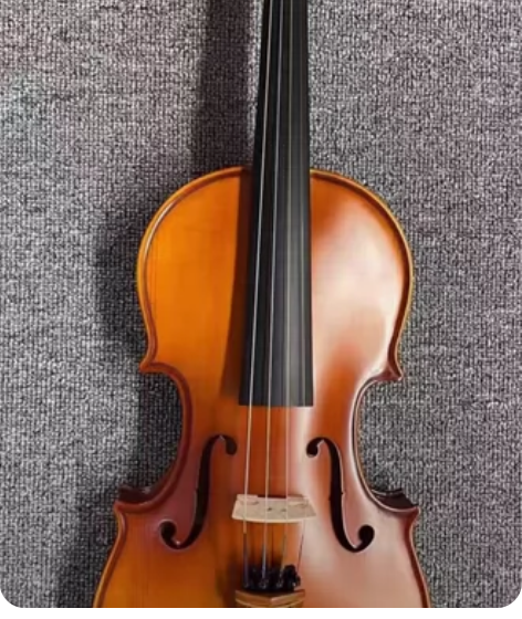 初学者入门级的小提琴,几乎全新,包括琴盒,...
