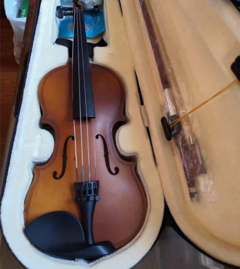 琴行甩卖,全新小提琴便宜出售。 亮油、哑光...