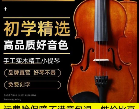 小提琴实木初学者专业级学生儿童成人1/2/...