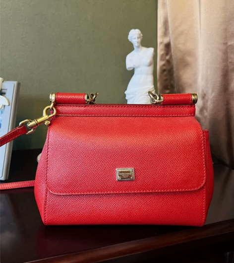 DG西西里 小号 当年最最喜爱背的包包之一...